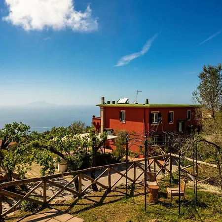 Aprea Luxury Capri Views & Guest Services *